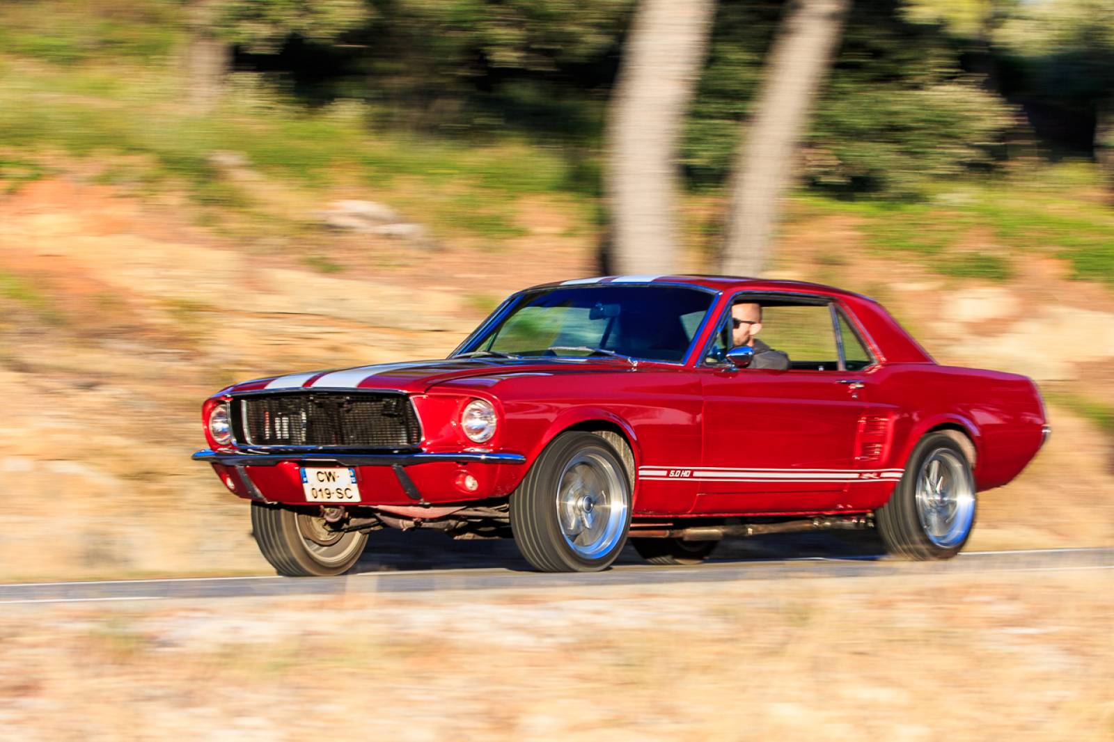 Ford mustang custom