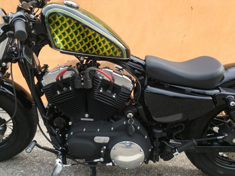 Harley custom Forty Eight